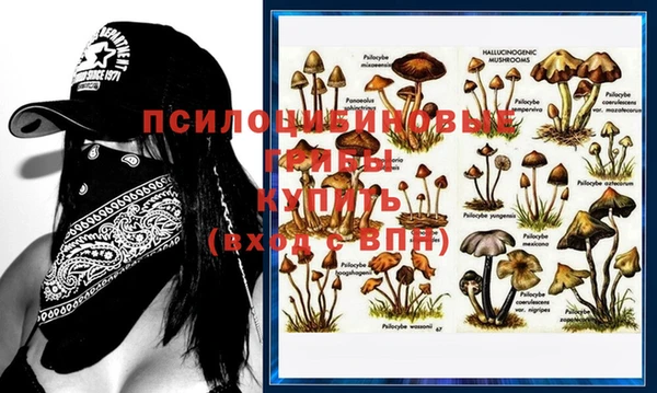 ПСИЛОЦИБИНОВЫЕ ГРИБЫ Верхний Тагил