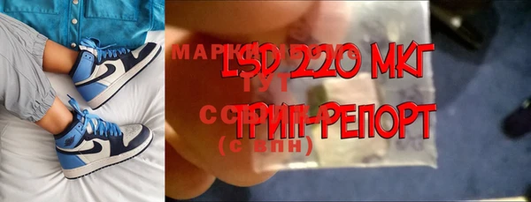 ПСИЛОЦИБИНОВЫЕ ГРИБЫ Верхний Тагил