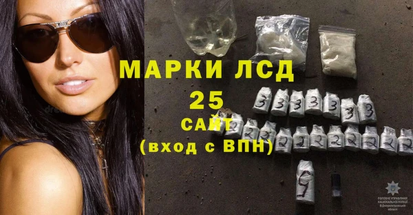 ПСИЛОЦИБИНОВЫЕ ГРИБЫ Верхний Тагил