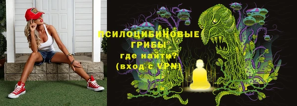 ПСИЛОЦИБИНОВЫЕ ГРИБЫ Верхний Тагил